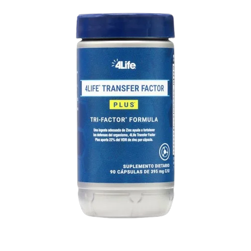 5163869030459748002 removebg preview